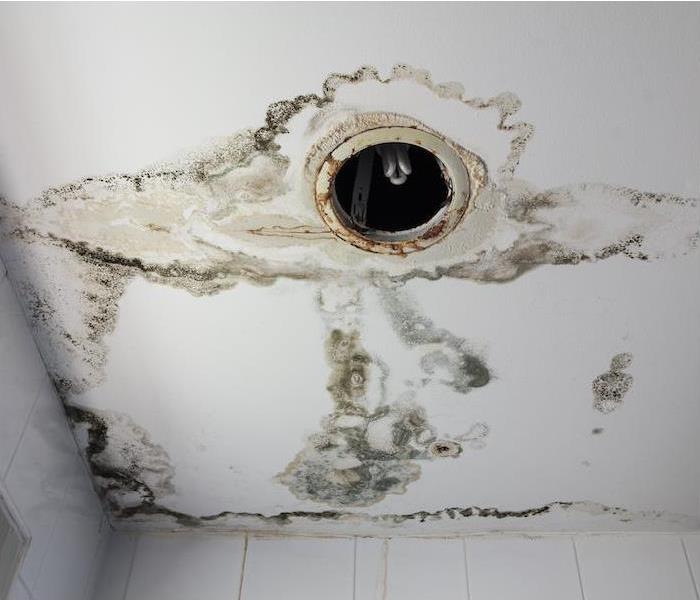 water damage and mold appearing to be growing on interior ceiling